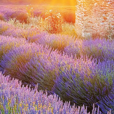 Ze8w8hXxx499027's profile picture. 