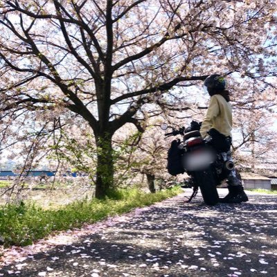 2021年普通自動二輪 2023年大型免許を取得した永遠の初心者🔰何故かハーレー買ったと噂されていますが🥲まだまだレブル愛は止みません🏍ボスが福山市鞆の浦の近くでCafeしてます☕私は偶に店番をしてます😊#レブル #バイク好きと繋がりたい #バイク女子 #全日本レブル会 アカウント作り直した💦