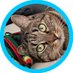 KC **** ****** 3 ☭ (@wesegu9414) Twitter profile photo KC **** ****** 3 ☭ (@wesegu9414) Twitter profile photo