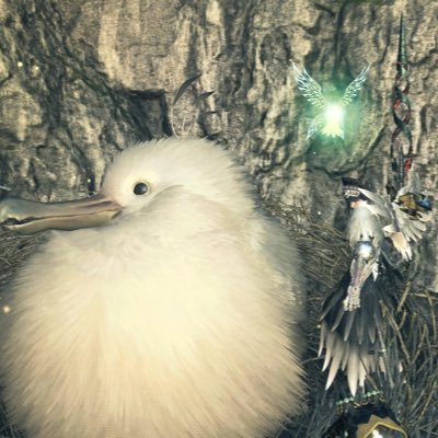 uniuni_riku's profile picture. モンハン垢 フレンド募集してます！