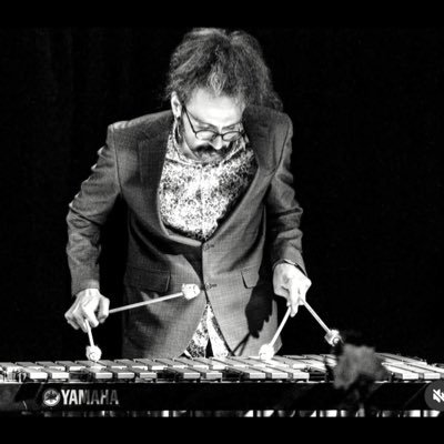 Jazz Vibraphonist • Musician • Official Xylosynth Artist