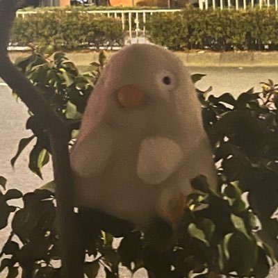 ささのはさんのプロフィール画像