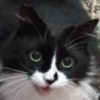 Gurkan Umutcan (@hamit_beles) 's Twitter Profile Photo Gurkan Umutcan (@hamit_beles) 's Twitter Profile Photo