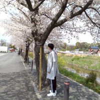 くり@アトツギ (@kmijbsq) 's Twitter Profile