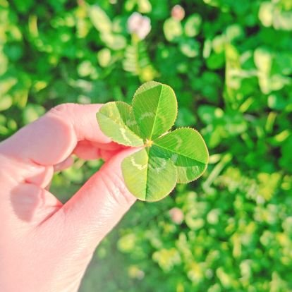 capurilove's profile picture. ２０１９年９月、宮本浩次は突如私の目の前に現れた。
あまりに自然に、あまりに日常的に、あまりに衝撃的に。