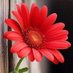 khaleel Aliraqey (@kh29379khaleel) Twitter profile photo khaleel Aliraqey (@kh29379khaleel) Twitter profile photo
