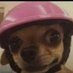 Wilson (@unplanned_chil) Twitter profile photo Wilson (@unplanned_chil) Twitter profile photo