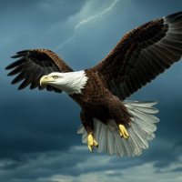 Freedom USA (@chriswarns55260) 's Twitter Profile