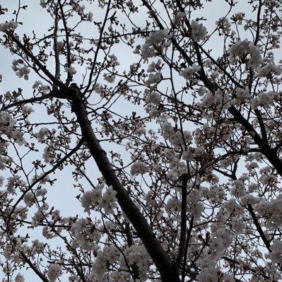 MYeqSiUQ3b45268's profile picture. 🍺好きのオヤジ/支持政党なし /無言フォロー失礼します 自民/公明/立憲/国民/維新/組織票のある政党は応援しません/宜しくお願いします。#六四天安門