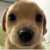 Zerby (@meatheadzerby) Twitter profile photo Zerby (@meatheadzerby) Twitter profile photo