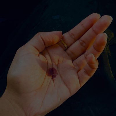 محامية