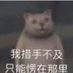 123321 (@123guojin321) Twitter profile photo 123321 (@123guojin321) Twitter profile photo