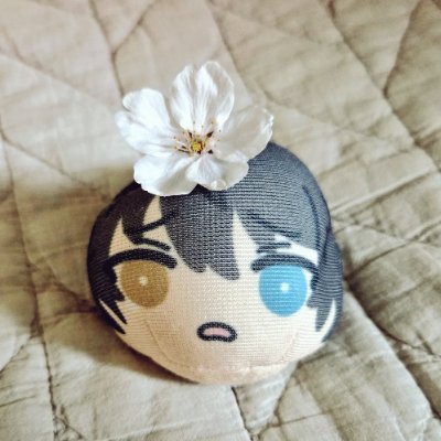 문그린さんのプロフィール画像