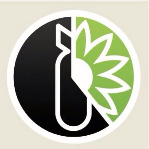 Reaching Critical Will Profile