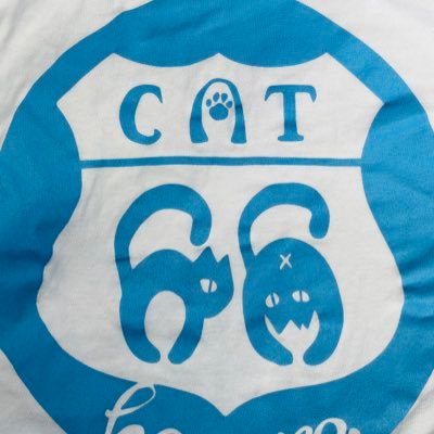 CAT 66🐾 (@EtkM2vIa8ezCKLg) / X