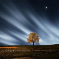 chautrantuyetnga (@chautrantu24935) 's Twitter Profile