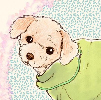 깍꿍🌳さんのプロフィール画像