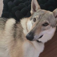Bsumettikul (@biblesumett) 's Twitter Profile Photo