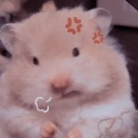 ํ์ฐจ๐ผ (@ebt_owo) 's Twitter Profile