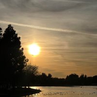 Isabella (@isabel123965) 's Twitter Profile