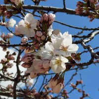 じゅん (@2b02nrffyg9bmxt) 's Twitter Profile