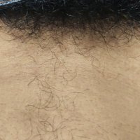 Sangean (@zoophiliee7) 's Twitter Profile