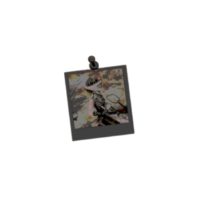 α
α
π²π»ππ²π°πα
πΌπΏaΝcΝπΉπ².α
(@ndllovy) 's Twitter Profile