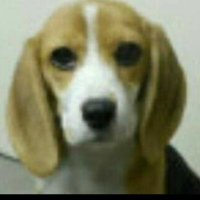 ローストポークわん本店 (@belly20120226) 's Twitter Profile Photo ローストポークわん本店 (@belly20120226) 's Twitter Profile Photo