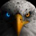 Tribuana Wira Sakti (@tribuanawira) Twitter profile photo Tribuana Wira Sakti (@tribuanawira) Twitter profile photo