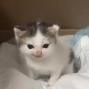 happy~ (@big1234567_ba) 's Twitter Profile