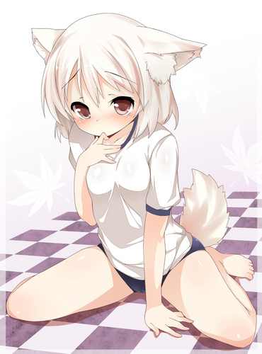 주인님♡(쫄래쫄래)/아직까지는 70% 수동인거에요/ M끼가 더 강해요/원하시지 않는다면 언팔말고 블락해주세요/백합도 가능해요/수위가 높은것서부터 낮은것까지 조절 가능해요/이름은 코노하에요♡