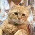 Iqbal Pratama (@iqbalp6993) Twitter profile photo Iqbal Pratama (@iqbalp6993) Twitter profile photo