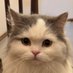 GEN (@zubichucheshari) Twitter profile photo GEN (@zubichucheshari) Twitter profile photo