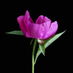 Ramim Akter (@akterramim22838) Twitter profile photo Ramim Akter (@akterramim22838) Twitter profile photo