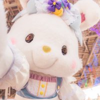 あ お も ち ⋆꙳ (@ao___mellchi) 's Twitter Profile Photo あ お も ち ⋆꙳ (@ao___mellchi) 's Twitter Profile Photo