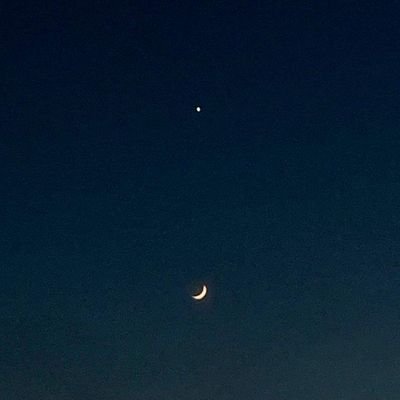 ThorChamrong's profile picture. plan....