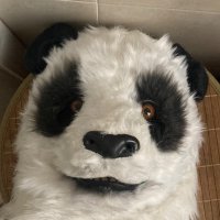 Pandaabra (@_pandafurry_) 's Twitter Profile