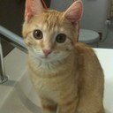 Stefanie Wolff - @StefanieWolff - Twitter