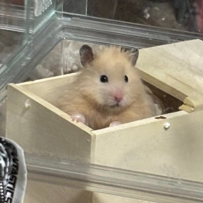 mattky0731's profile picture. 好きに生きたい ゆるやかに若さを溶かして