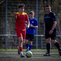 Luis Gronemann (@luis_gronemann) 's Twitter Profile