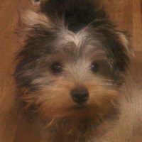 co_co (@coco74623898445) 's Twitter Profile Photo co_co (@coco74623898445) 's Twitter Profile Photo