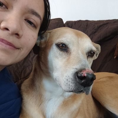 GabyVla's profile picture. Ser adulto está muy difícil |
 🌄