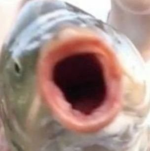 cebolinaskz's profile picture. chak chak boom