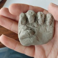 Son KPSS ci (@sonkpssci) Twitter profile photo