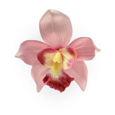 nnpp_yy's profile picture. 