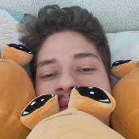 Lucas Veiga (@lucashdev) 's Twitter Profile