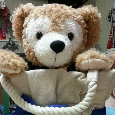Pingu&Duffyと同一人物です
ポタオデ、凛として時雨、90年代Jpop大好き🐻
無言フォロー失礼します(ぴんと呼んで下さい😊)
