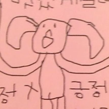 모이 Profile
