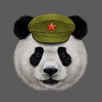 BeijingPanda🇨🇳 (@xijinxpigwumao) 's Twitter Profile