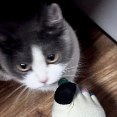 Andone_771's profile picture. 